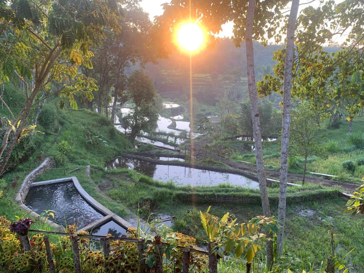 The Alam Tetebatu Bungalow & Restaurant - Housity