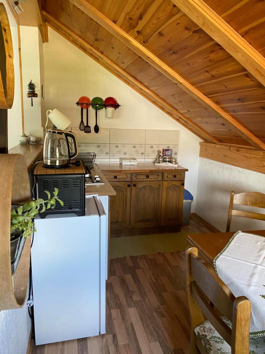 Apartmani Gruzdovo - Housity