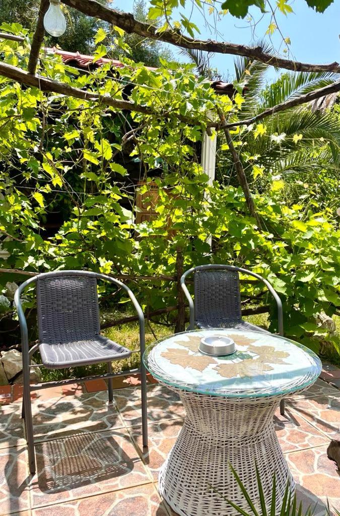 Apartments Jovic - Housity