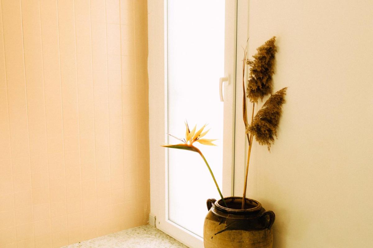 Sweet home in nature reserve - Housity