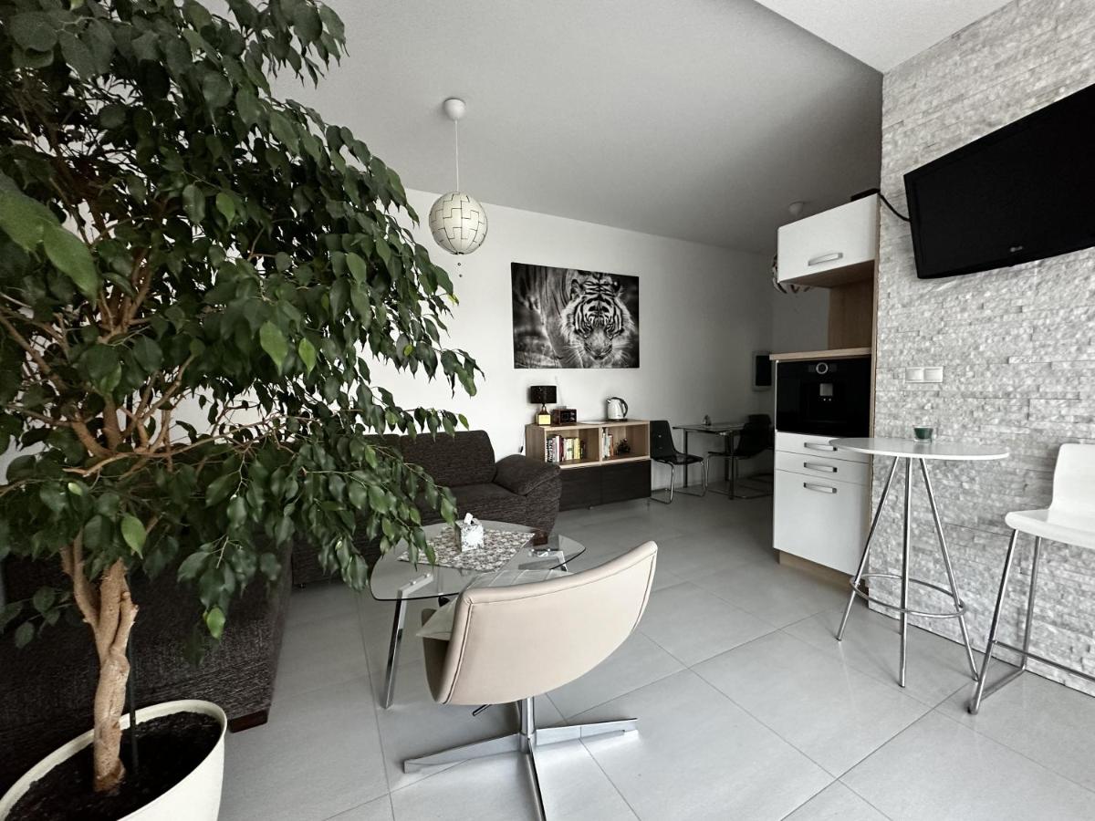 Apartmán Lodenica - Hizvo