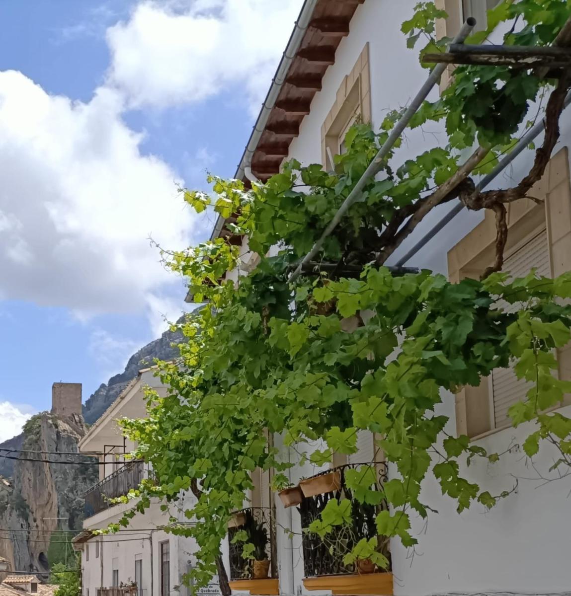 Casa de la Parra - Housity