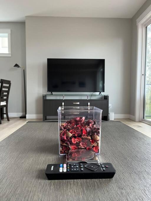 Ocean View Oasis - Housity