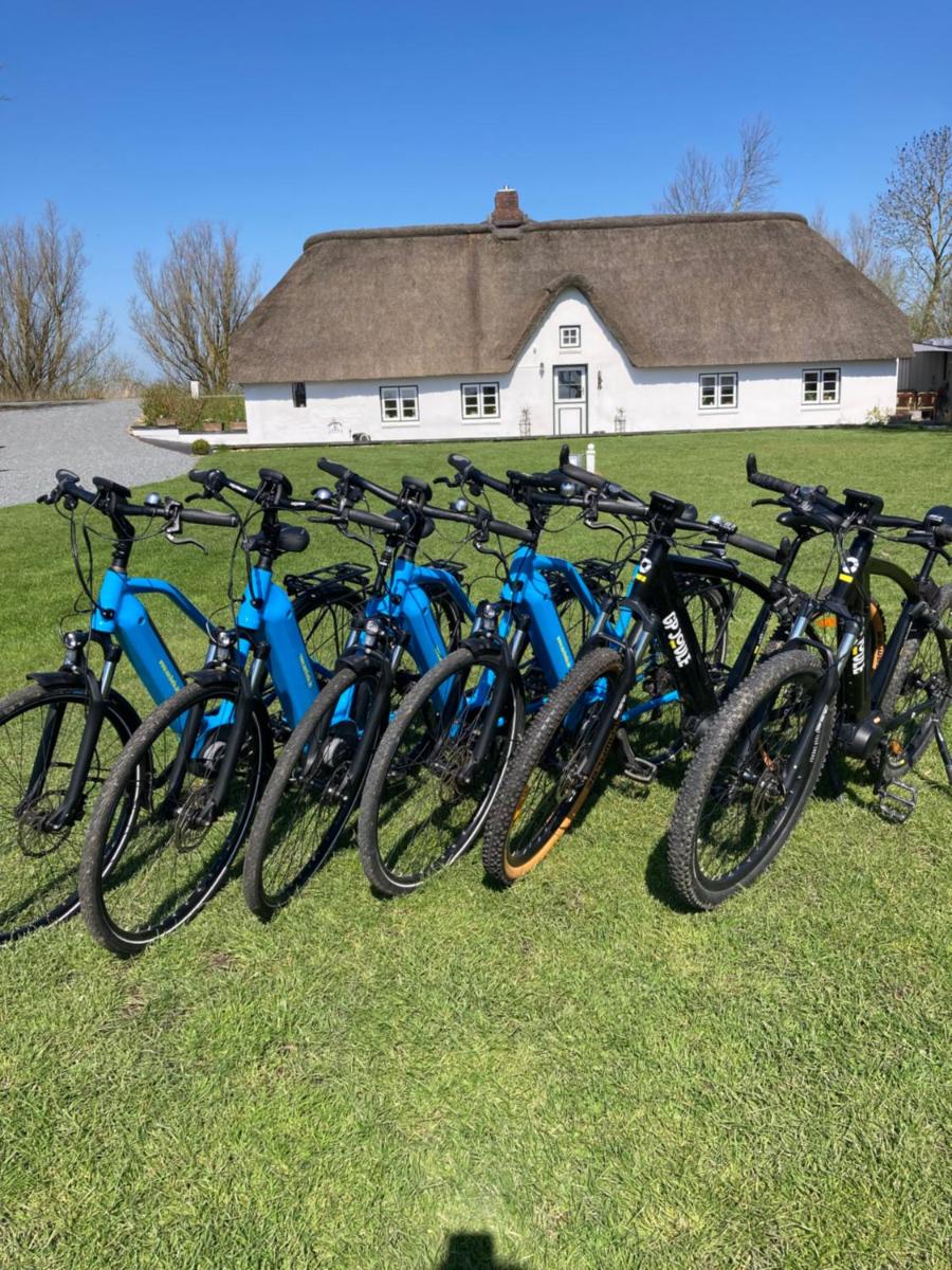 Reetdachhaus, Sauna, E-Bikes, 6 Personen - Housity