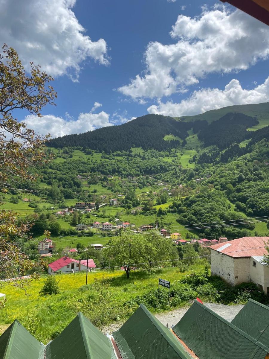Bizim O'ra Küme Evleri & Bungalov - Housity