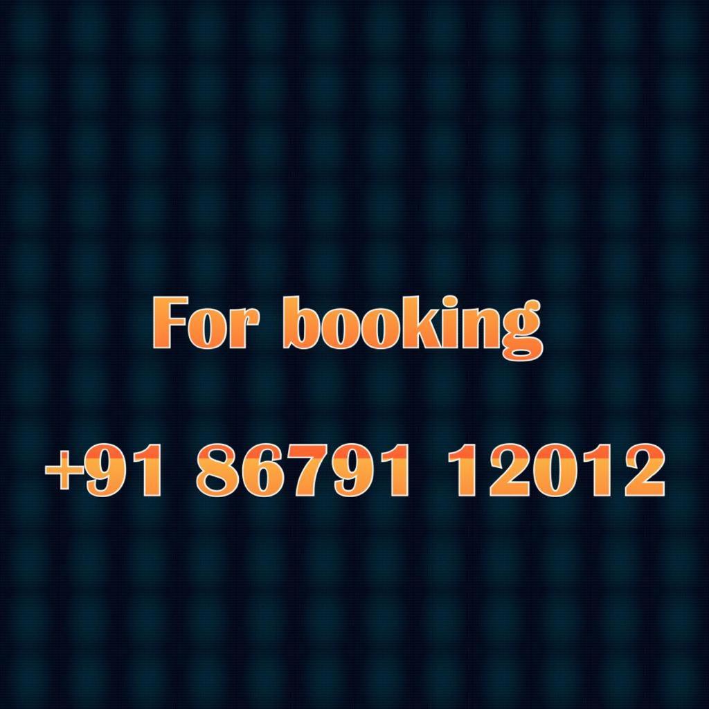 Royal Ace with balcony view MASHOBRA - Housity
