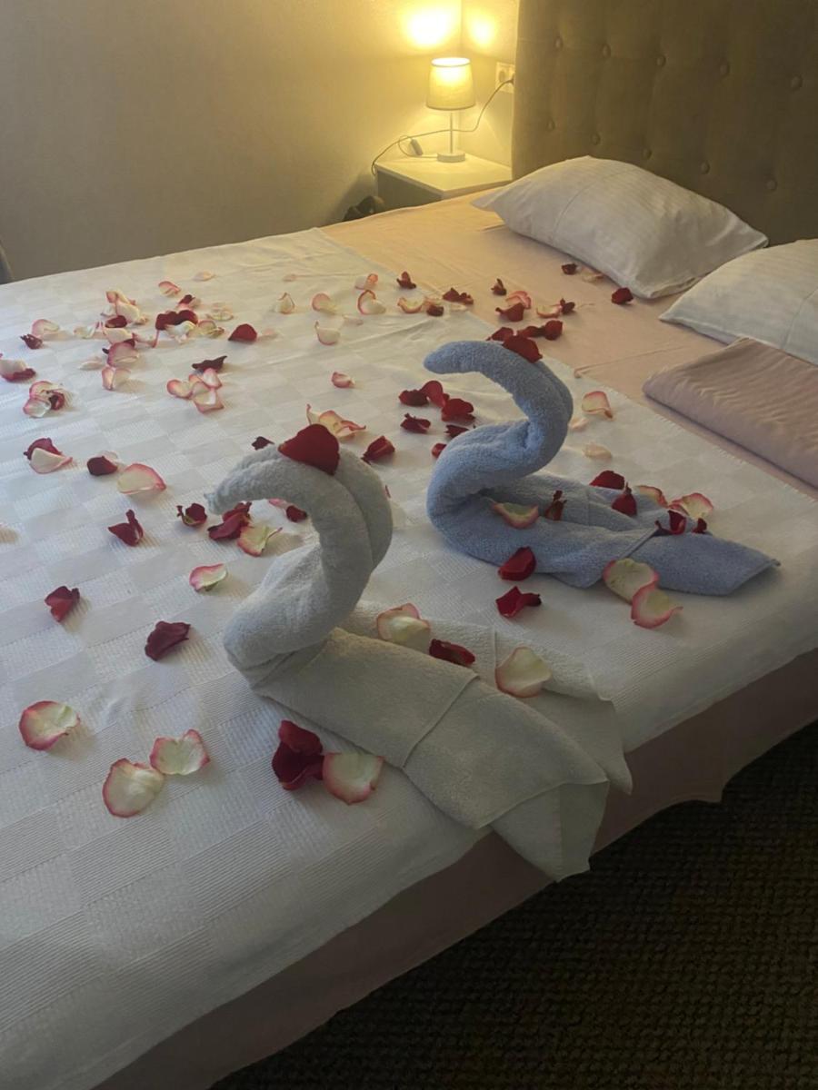 Guest House Olzhycha 45 Б - Housity