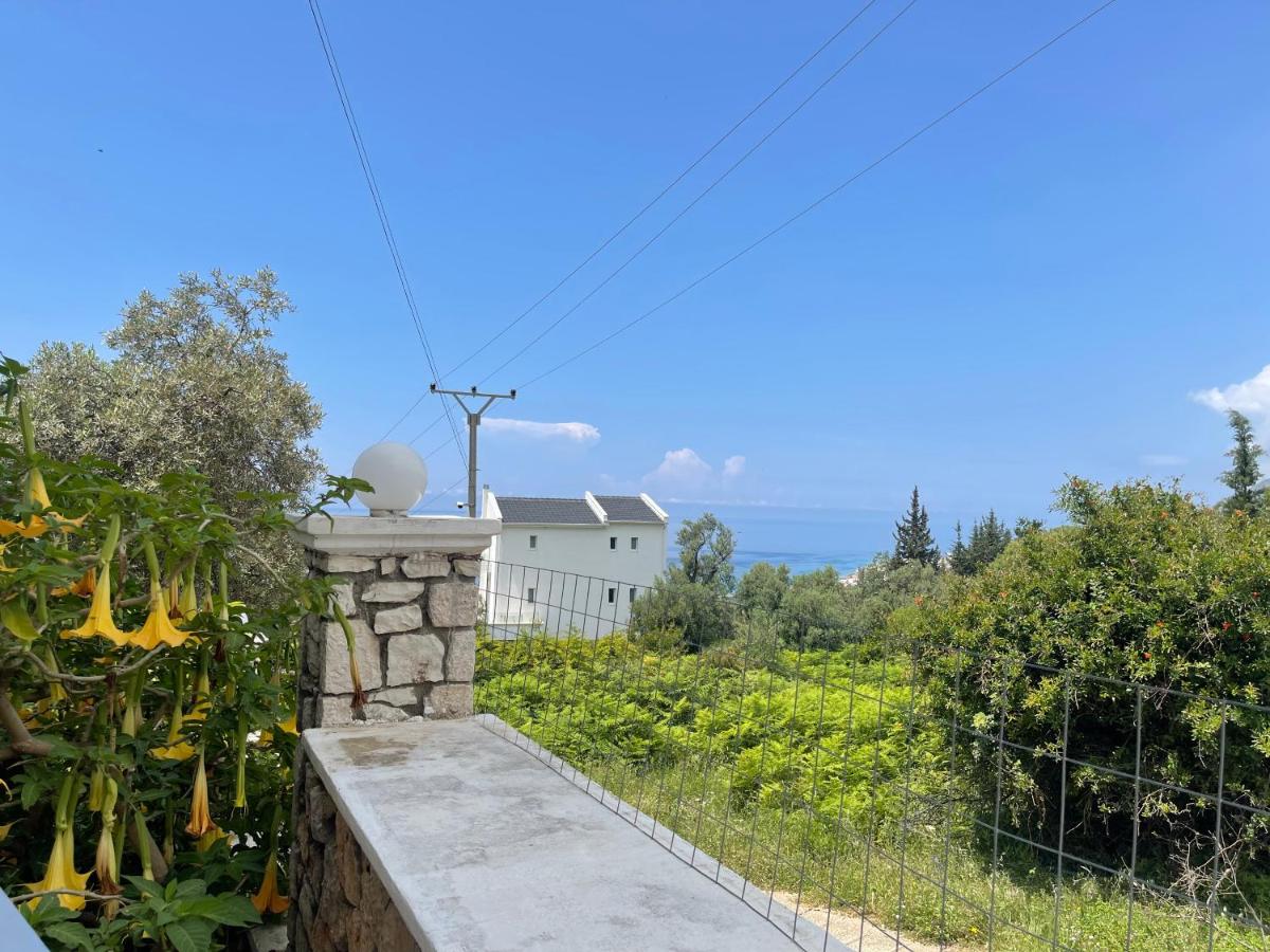 Season Inn - Housity