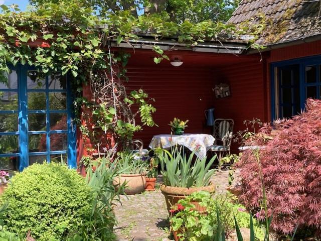 Schwalbennest - Housity