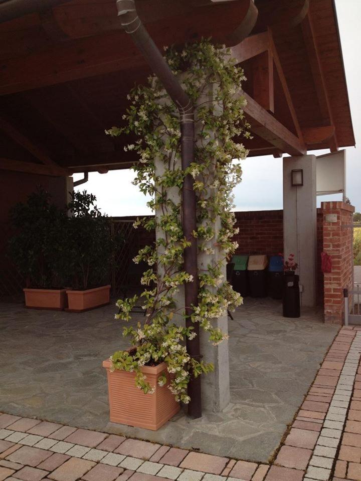 Suitetrails - Eco-Residence