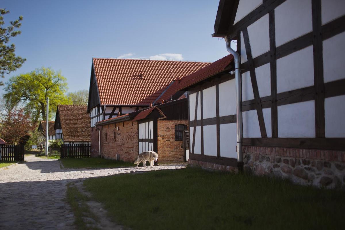 Zagroda Swołowo - Housity