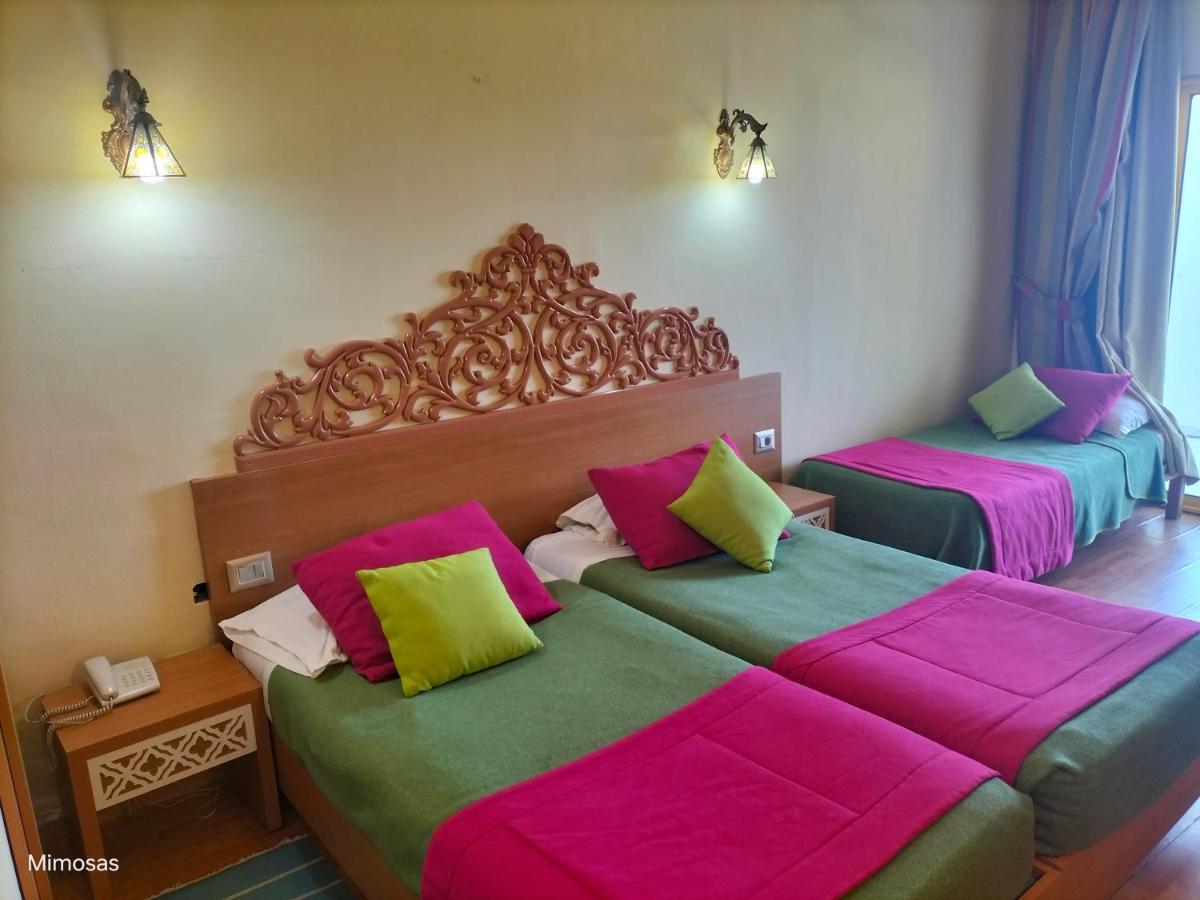 Suitetrails - Hôtel LES MIMOSAS TABARKA