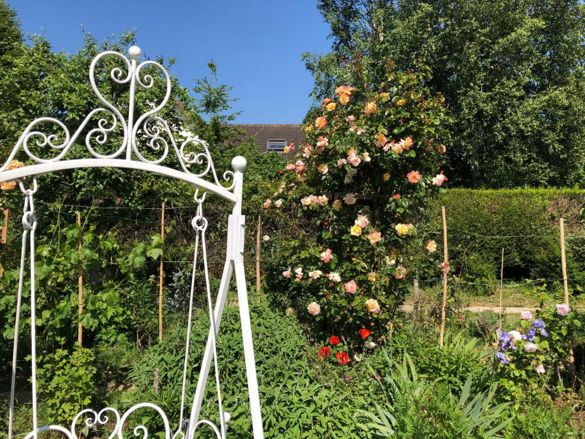 Les Grands Pins - Housity