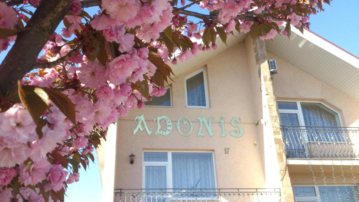 Adonis - Housity