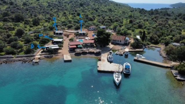 Beach house Hela - resort & tavern BAIN, free transport, pool, Island of Žut - Kornati - Housity