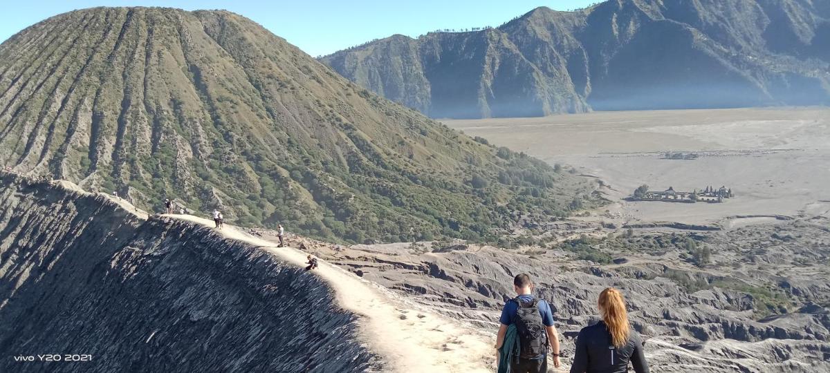 Javalindra Homestay and Banyuwangi Tour - Housity