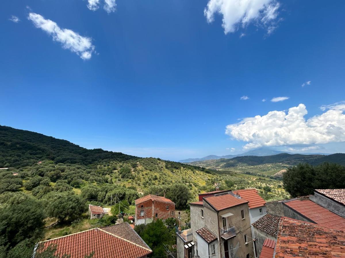 Corte degli Ulivi - Housity