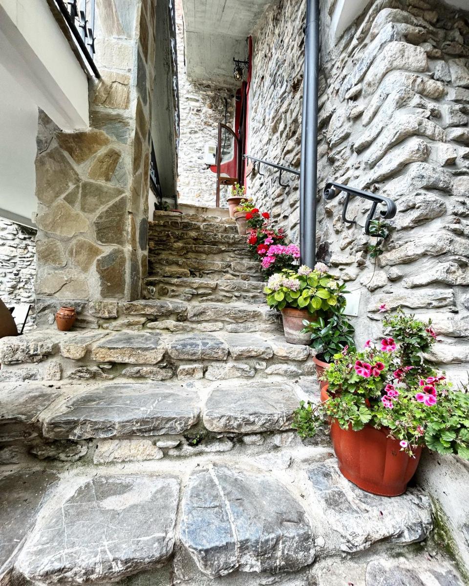 Corte degli Ulivi - Housity