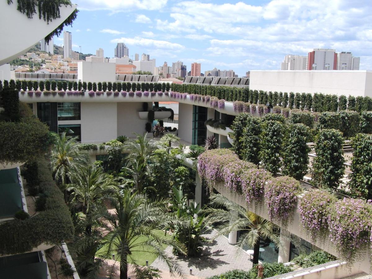 Jardín al aire libre en Hotel Deloix 4* Sup