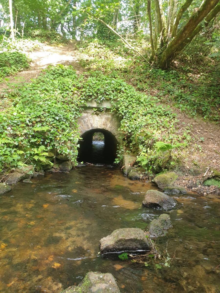 La bulle de Clotilde - Logement insolite - Housity