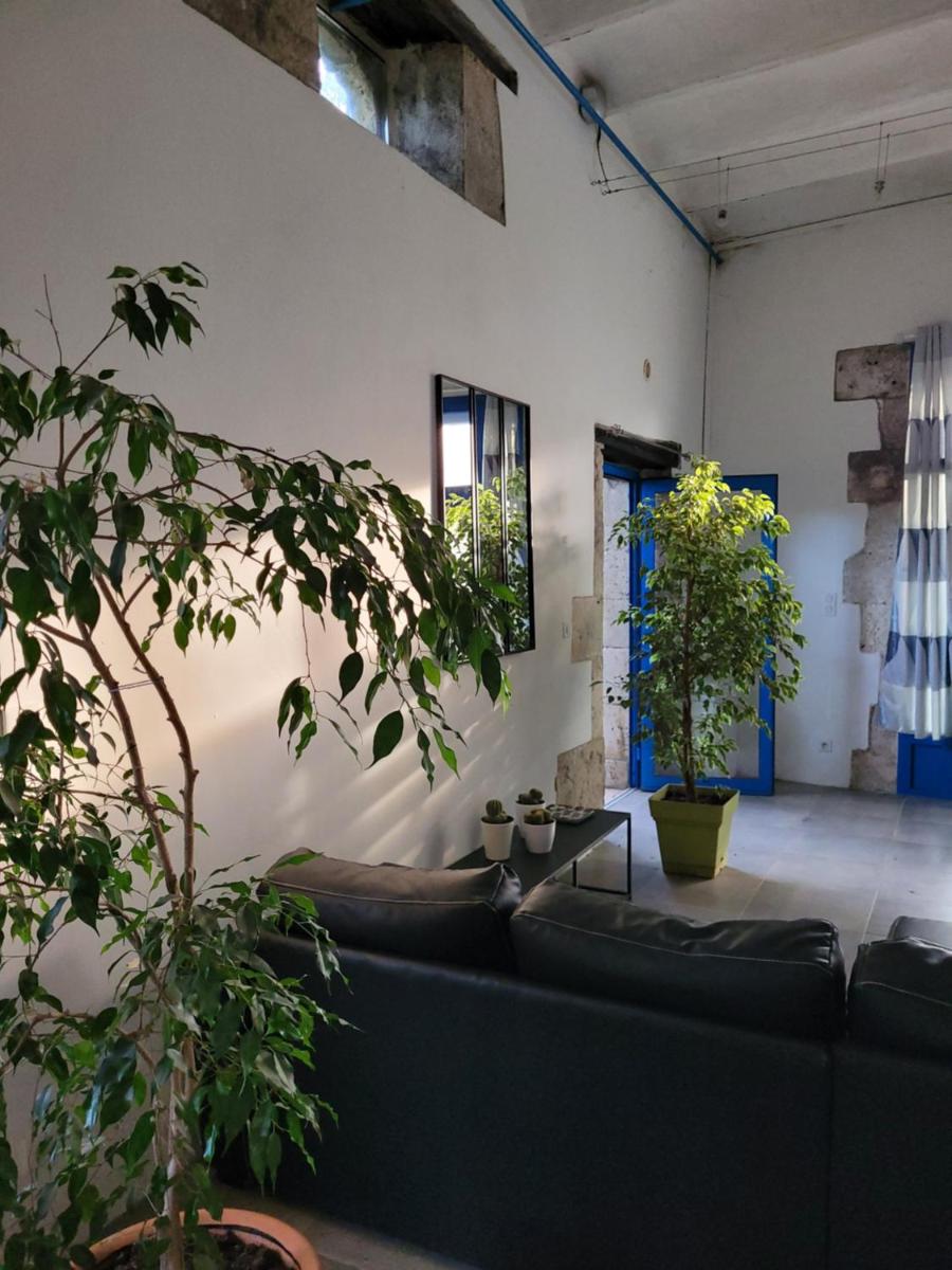 Loft 88 - Hizvo
