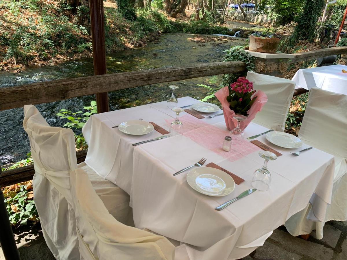 Margaret's Island Hotel - Housity