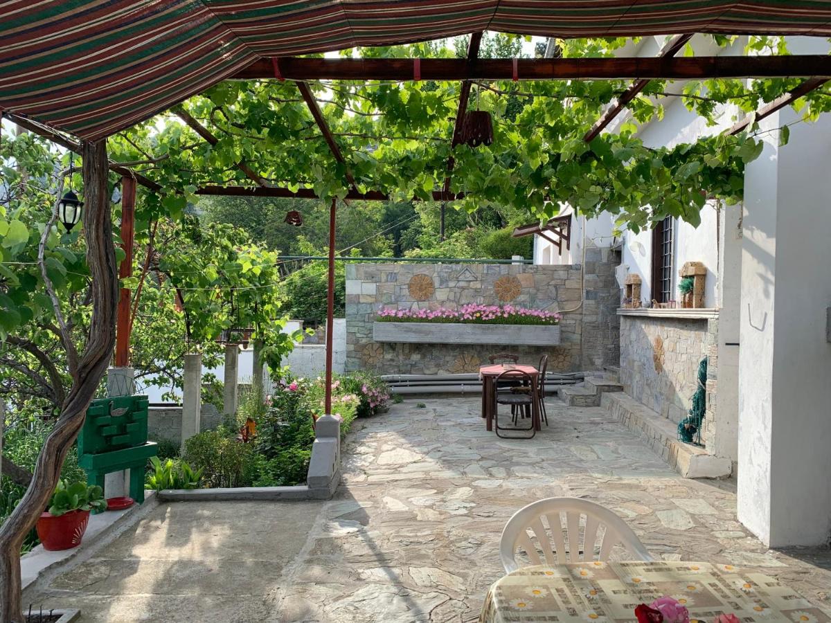Η θεα traditional house - Housity