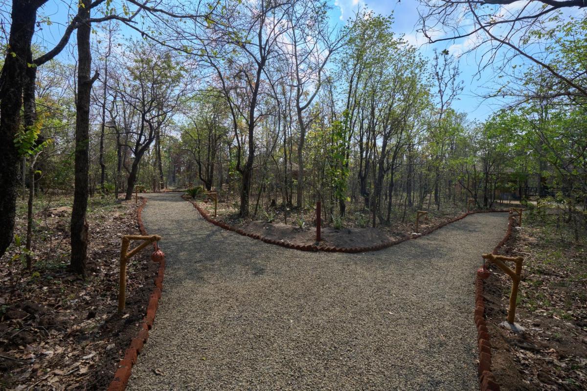 Saj In The Forest, Pench - Housity