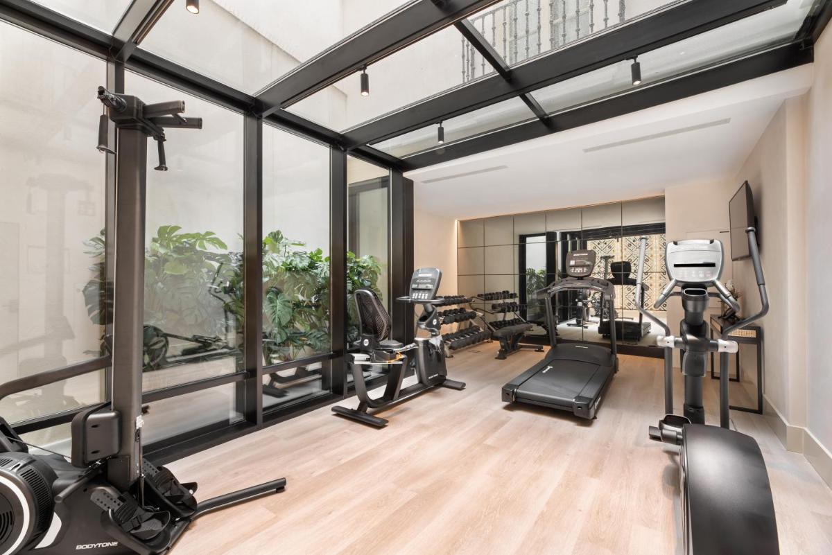 Gimnasio o instalaciones de fitness de Áurea Casa Palacio Sagasta by Eurostars Hotel Company