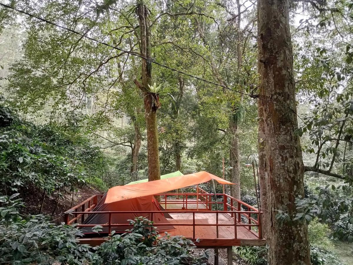 Mala Green Camp - Housity