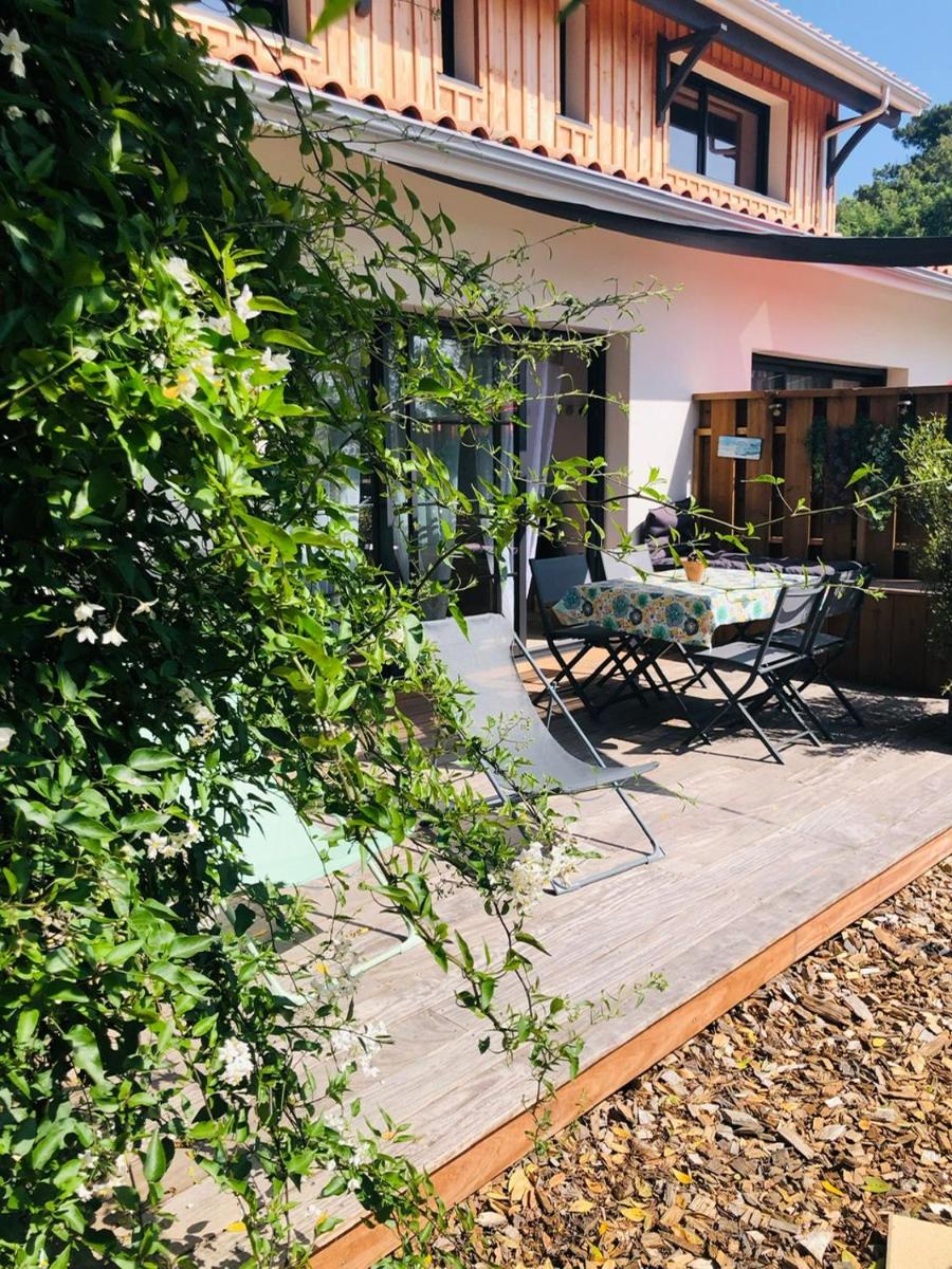 Flou de Pin - Housity