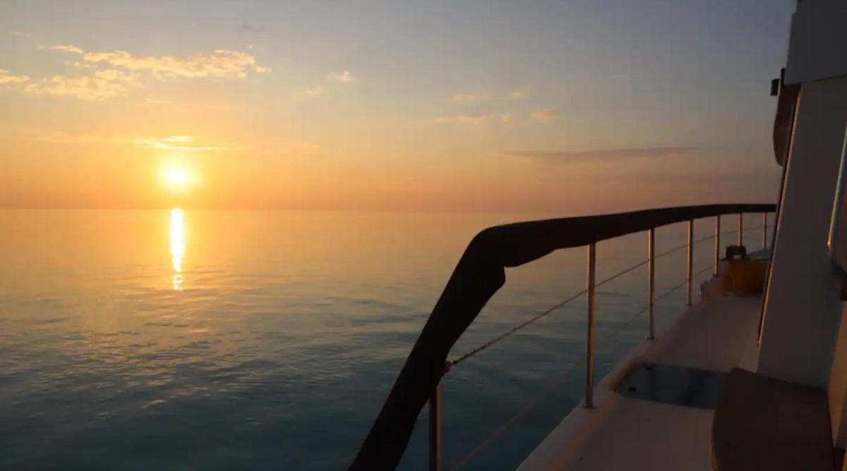Boat Trip Adventure in Florida - Housity