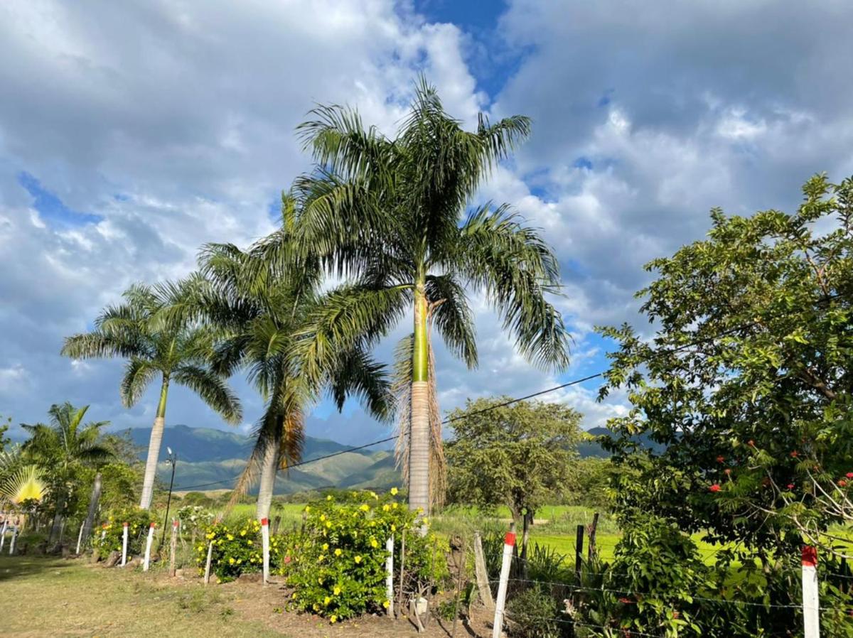 Hacienda Villa Liria - Housity