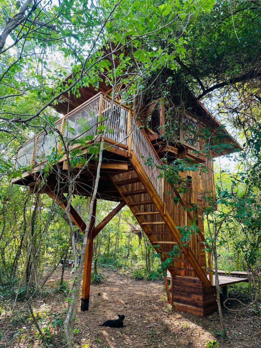 Tamarindo Pura Selva Eco Tree House - Housity