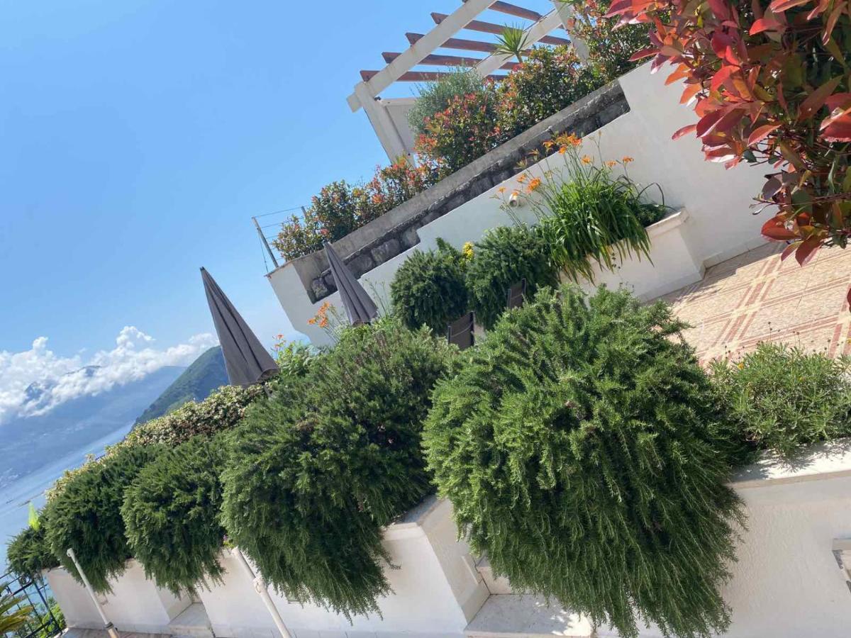 Vidikovac Budva - Housity