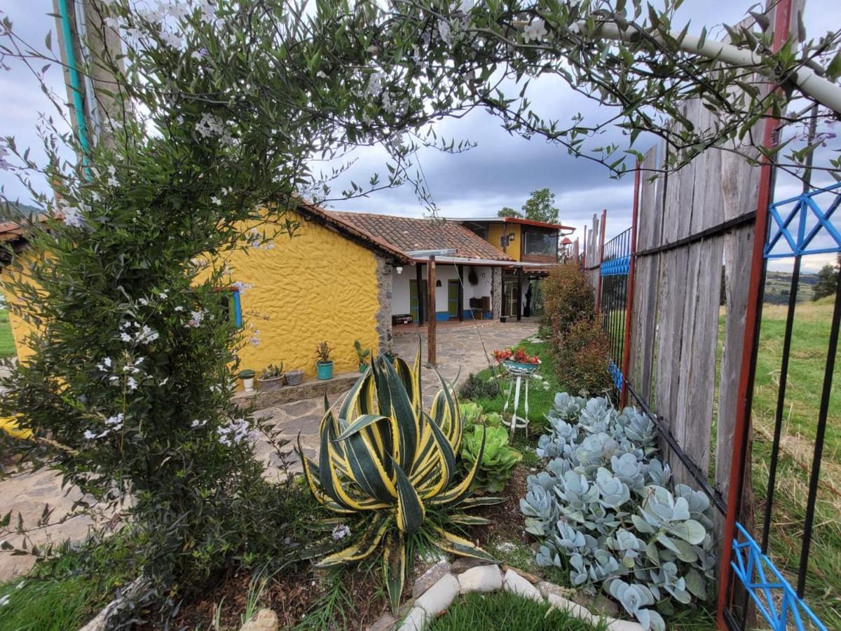 Finca La Aurora - Housity