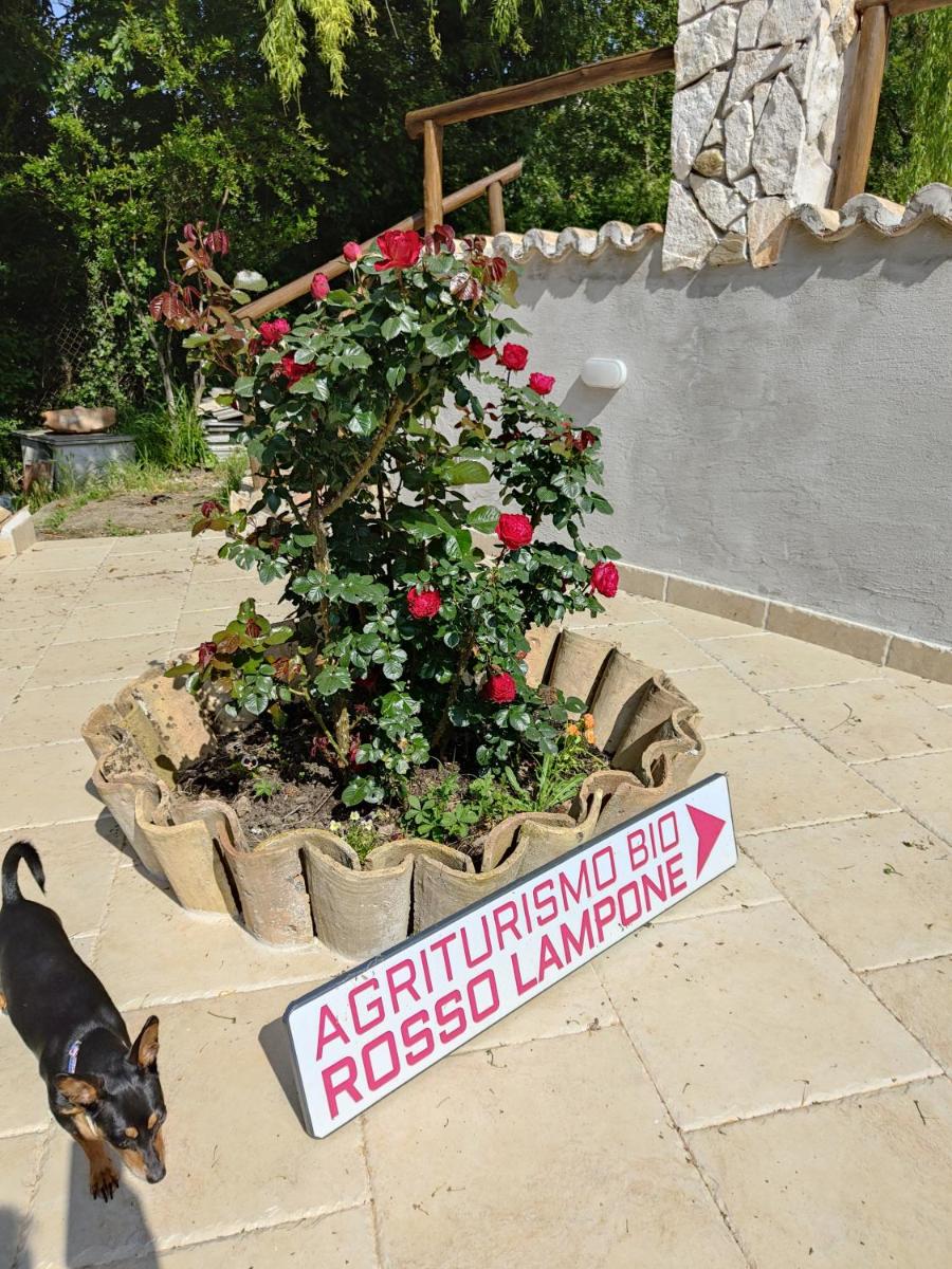Agriturismo Rosso Lampone - Housity