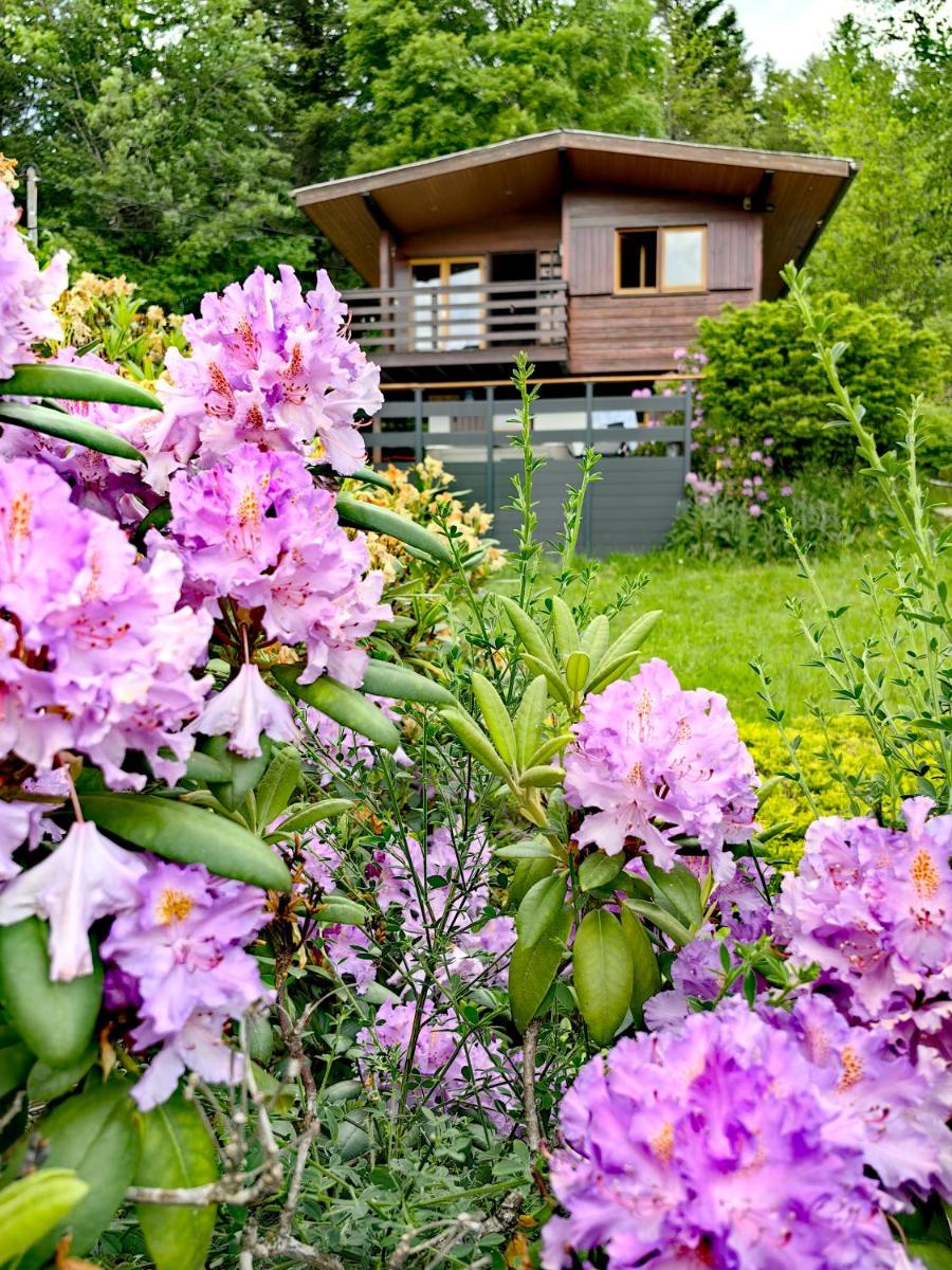 Chalet « à l’orée du bois » - Housity