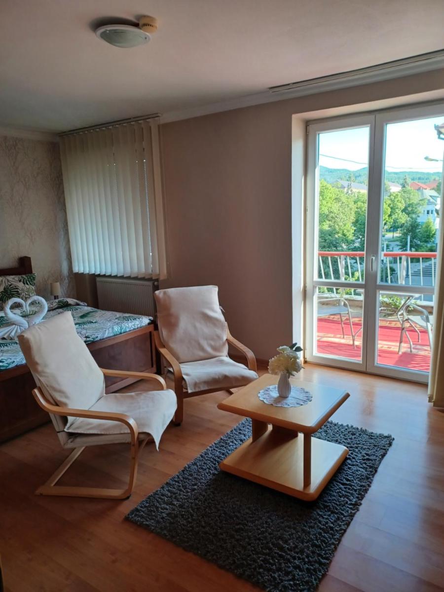 Hotel Baník Handlová - Housity