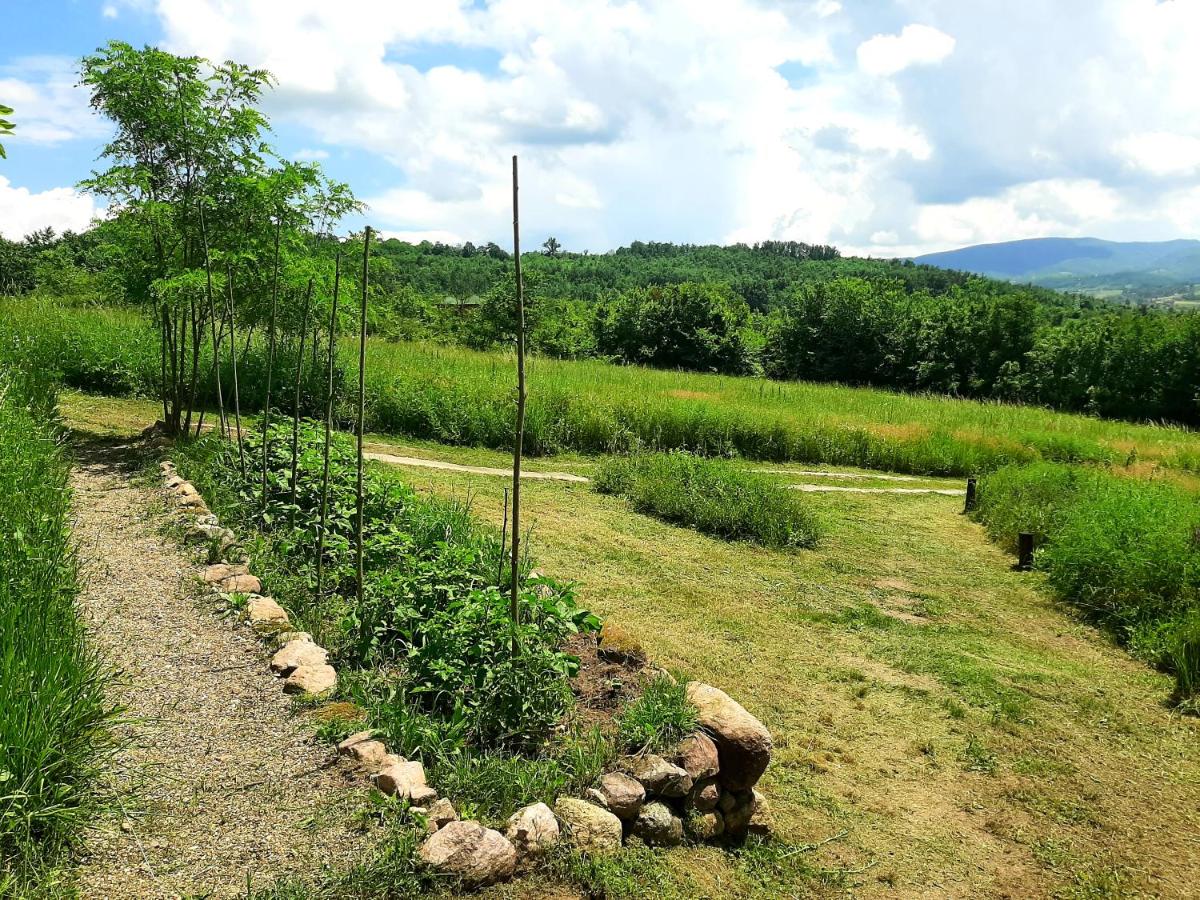 Vidikovac Golo brdo - Housity
