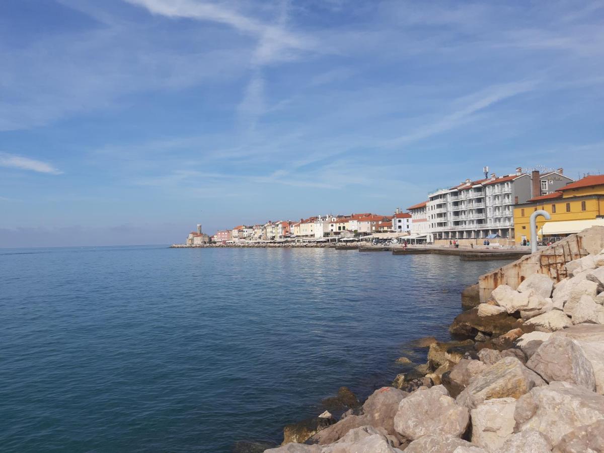 Apartma Luna - Housity