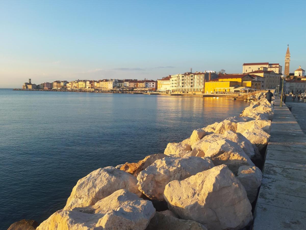 Apartma Luna - Housity