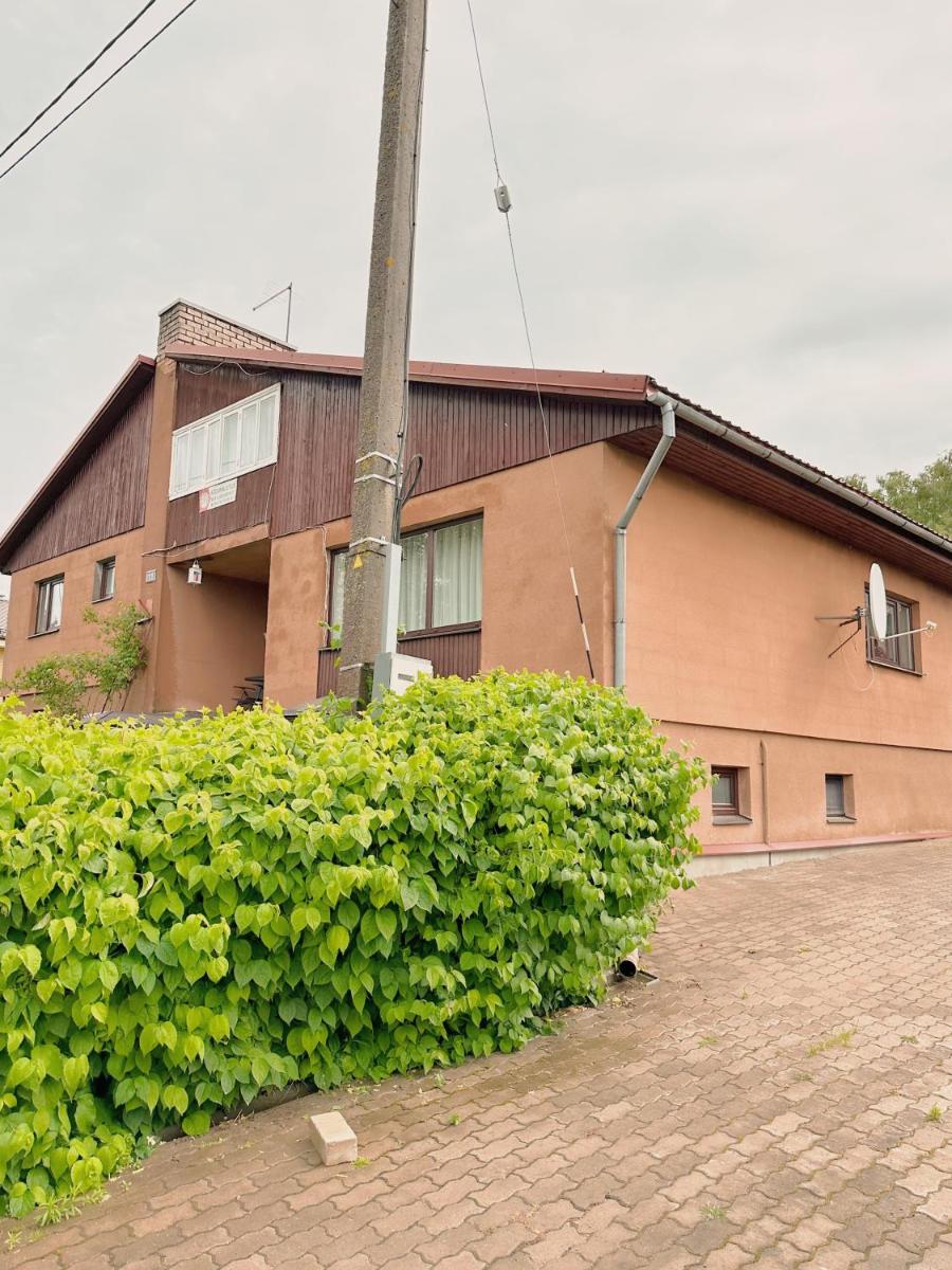 Karikakra B&B - Housity