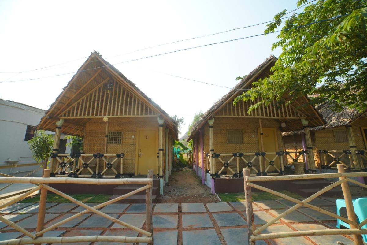 Hampi Crzy Panda - Housity