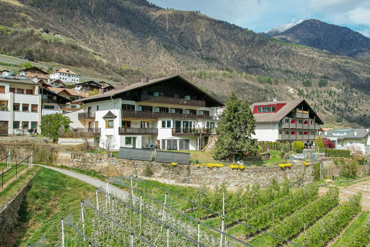 Pension Apartments Pardell - Housity
