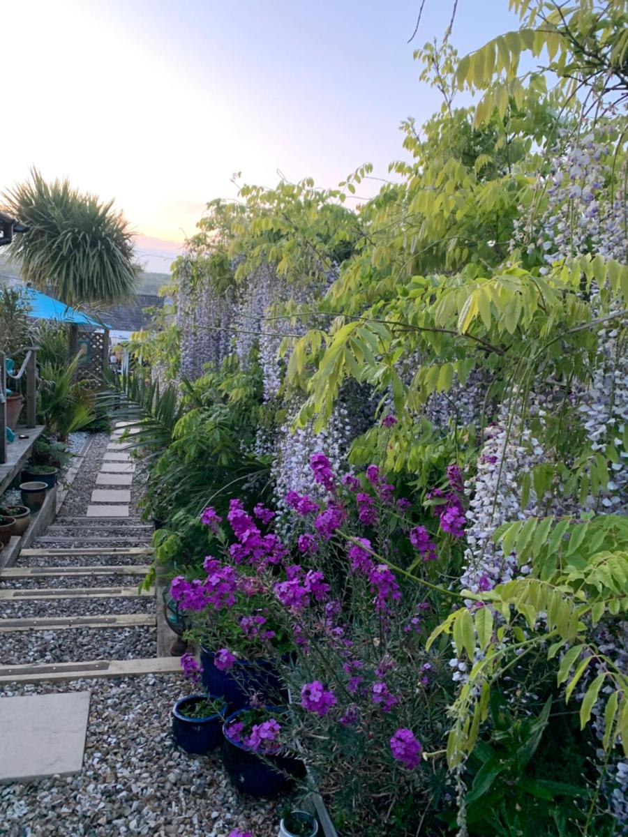 Stargazy Garden - Housity