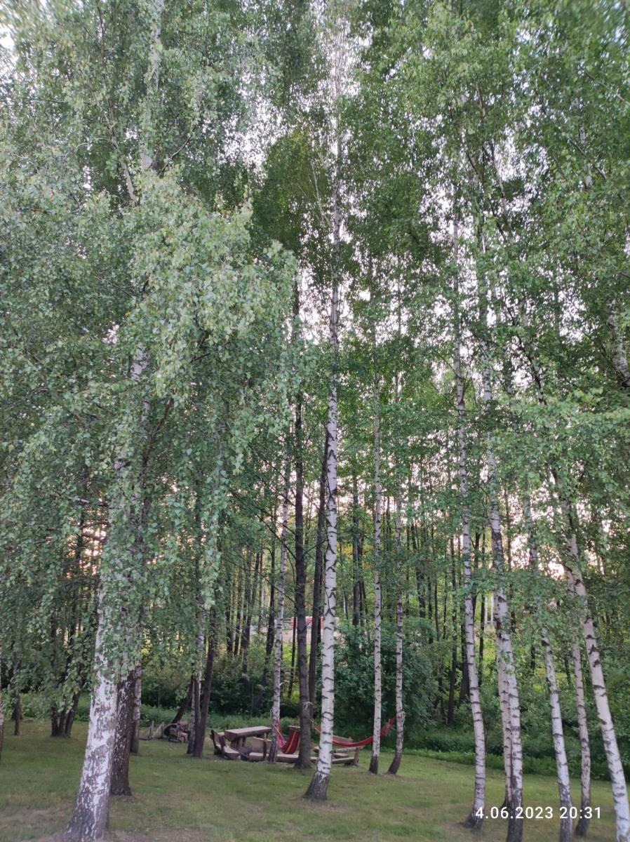Brzozowy Chillout - Housity