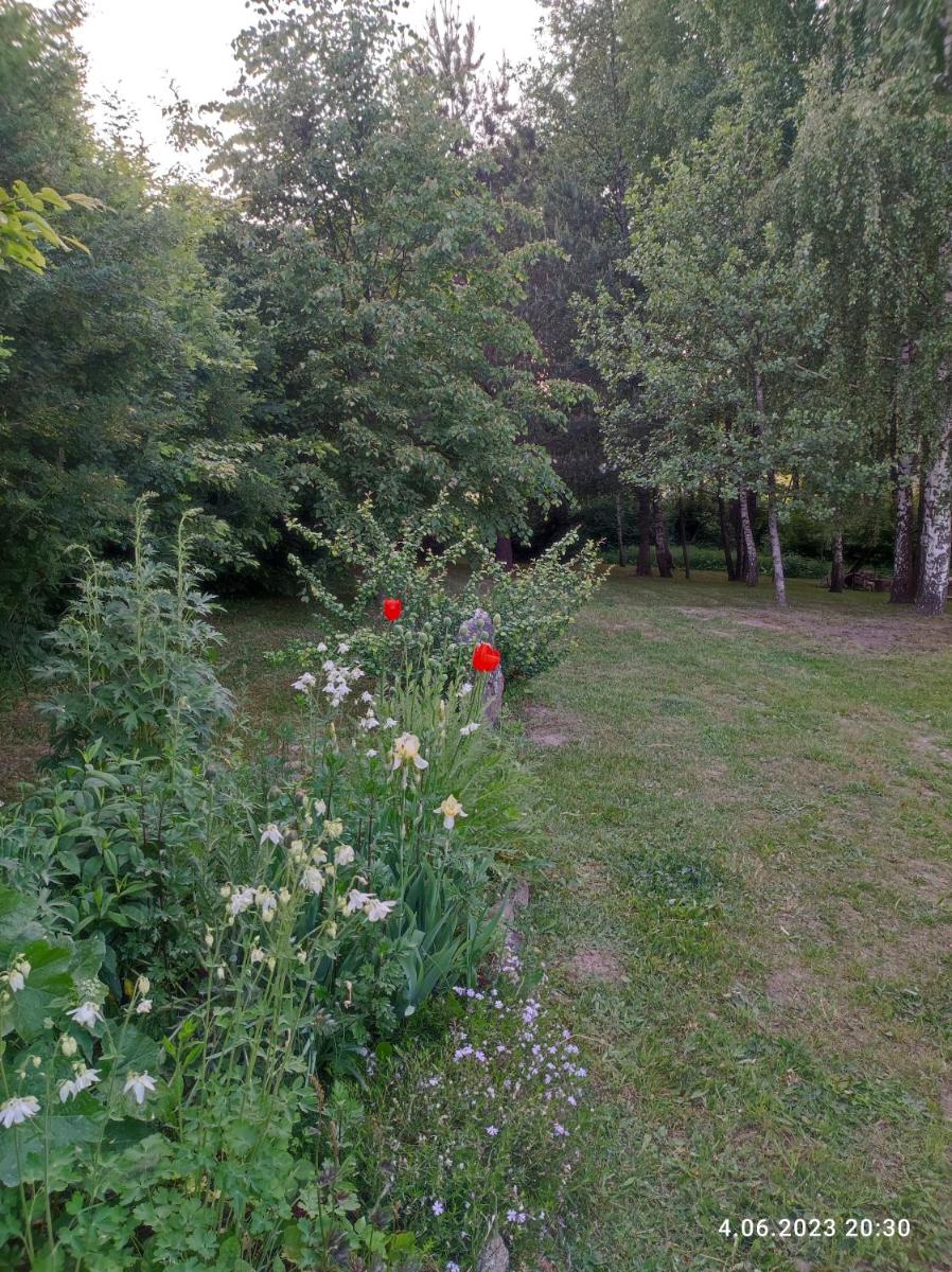 Brzozowy Chillout - Housity
