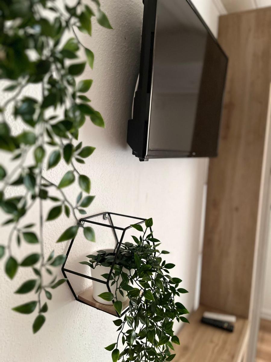 Apartment Bagaric - Housity