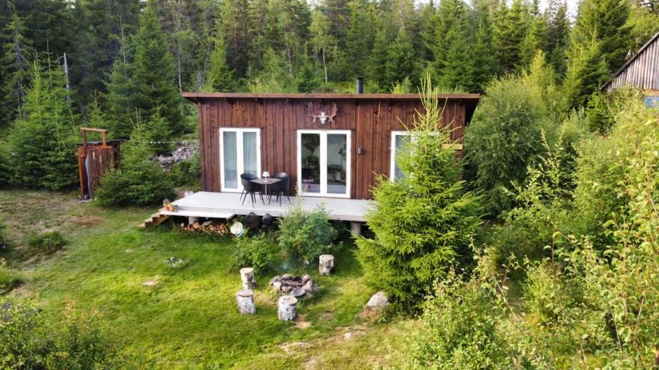 Cozy forest cabin with amazing mountain view - Housity